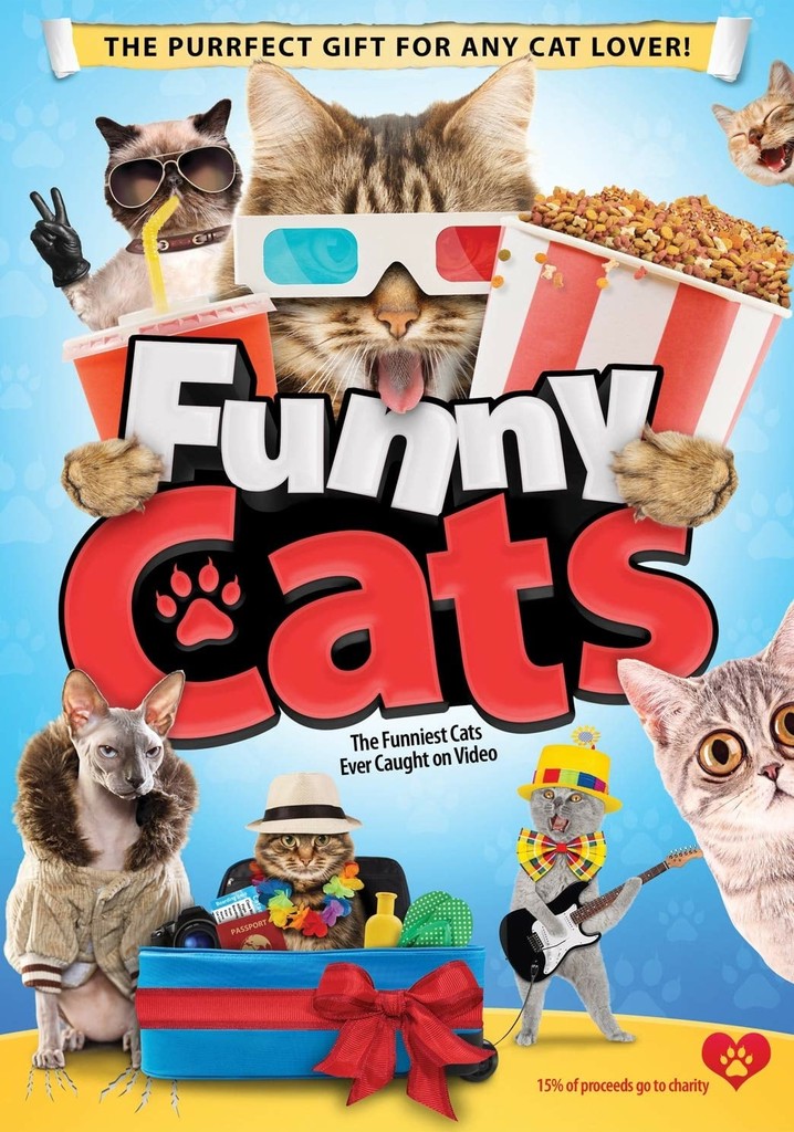 Funny Cats movie where to watch stream online